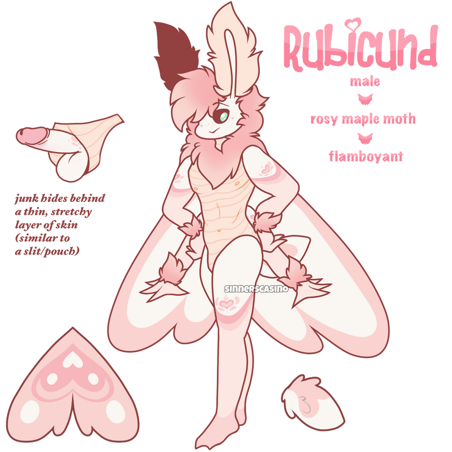 rubicund [male-gay-moth]